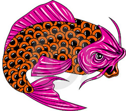 Colored Carp Fish Tattoos Design